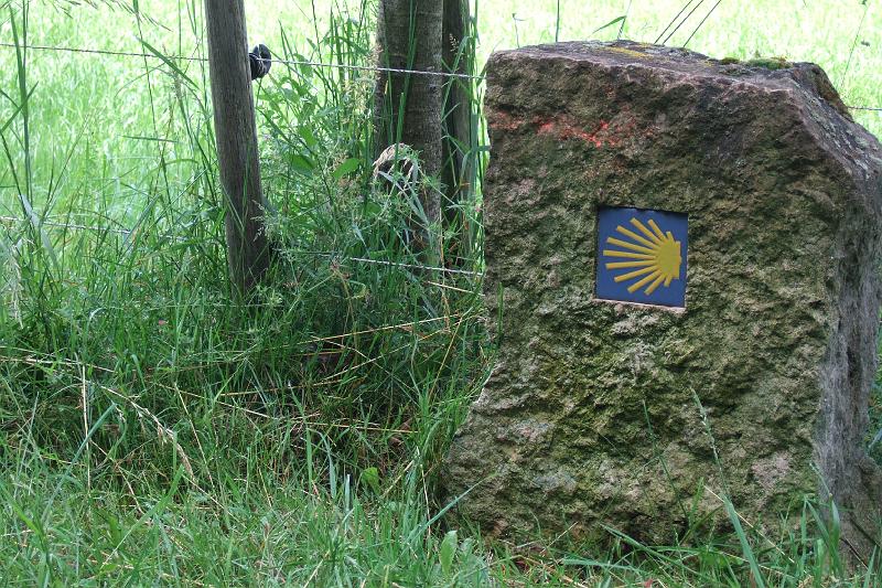 3-2-08 Jakobsmuschel am Wegrand.JPG - Symbolisch das Zeichen für den Jakobsweg - praktisch aber nicht immer "griffbereit"